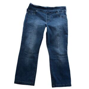 Lee Womens Jeans Size 14P Blue Denim Slim Fit Sculpting Stretch Straight Leg